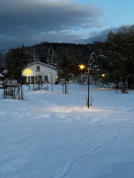 Landhaus „Blattgold“ Lohme Kültér fotó