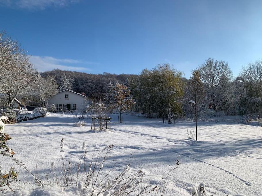 Landhaus „Blattgold“ Lohme Kültér fotó